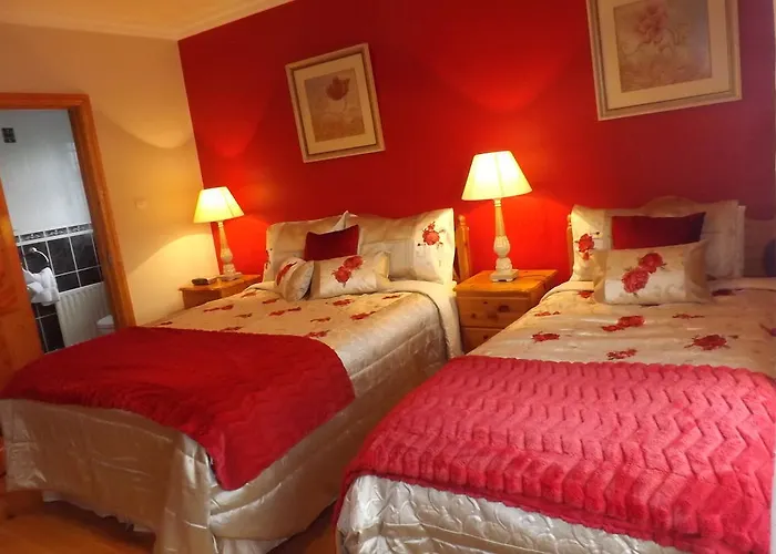 Gort Na Mona Nocleg ze śniadaniem 4*